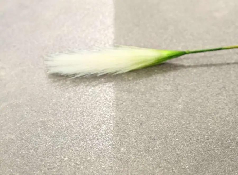 Fiji - картинка 2