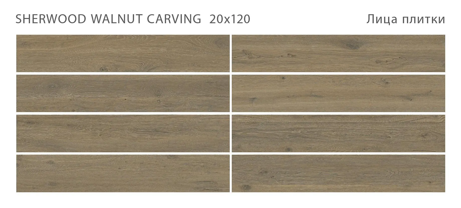 Sherwood - картинка 2