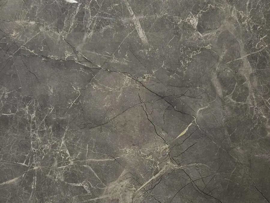 Zanetta - картинка 1