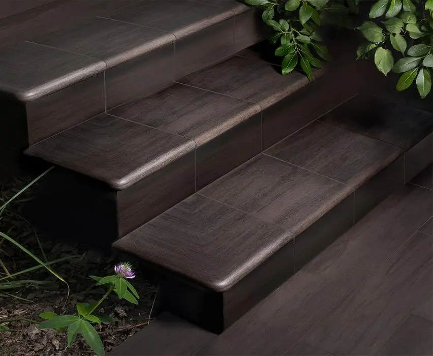 Forest - картинка 2