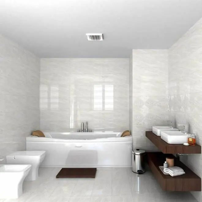 Palasio - картинка 1