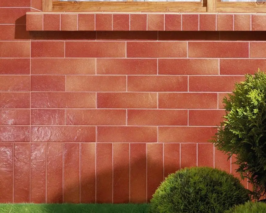 Taurus - картинка 1