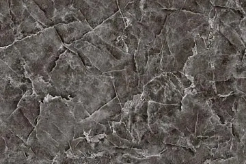 Аргус