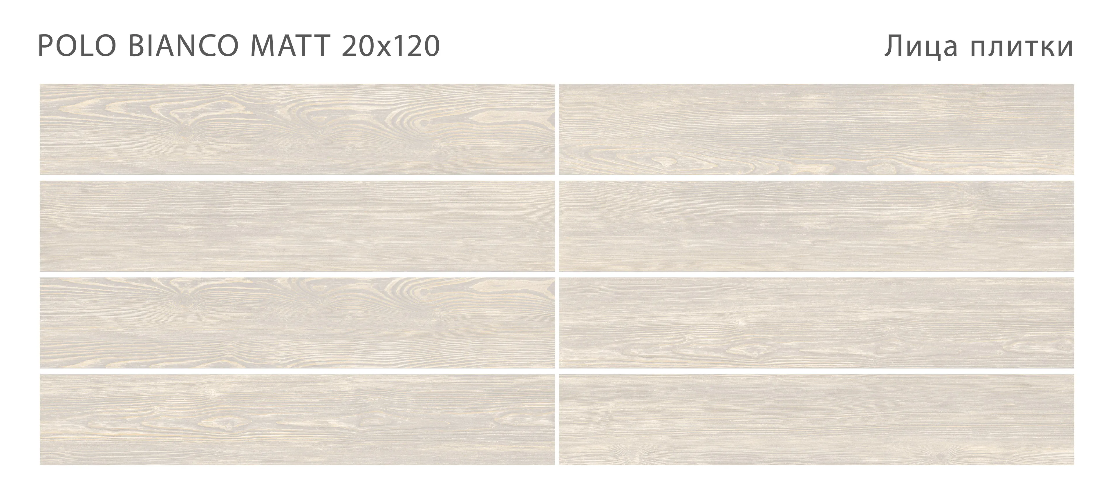 Керамогранит, POLO BIANCO 20x120 MATT, Polo - картинка 2