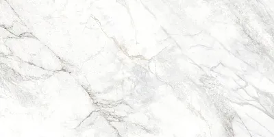 Керамогранит Багамы Каррара / Bahamas Carrara D120242M - картинка 2