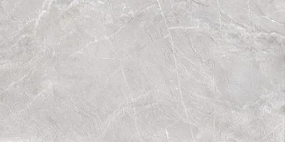 Керамогранит Терра серый / Terra Gray 60120TER15P - картинка 2