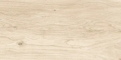 Керамогранит Брентвуд / Brentwood GFA3060BWD04R - �������� 2